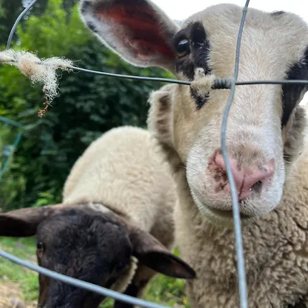 Du Saut Des Cuves Apartment