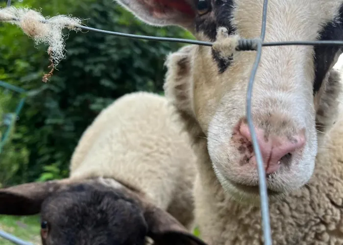 Du Saut Des Cuves Apartment